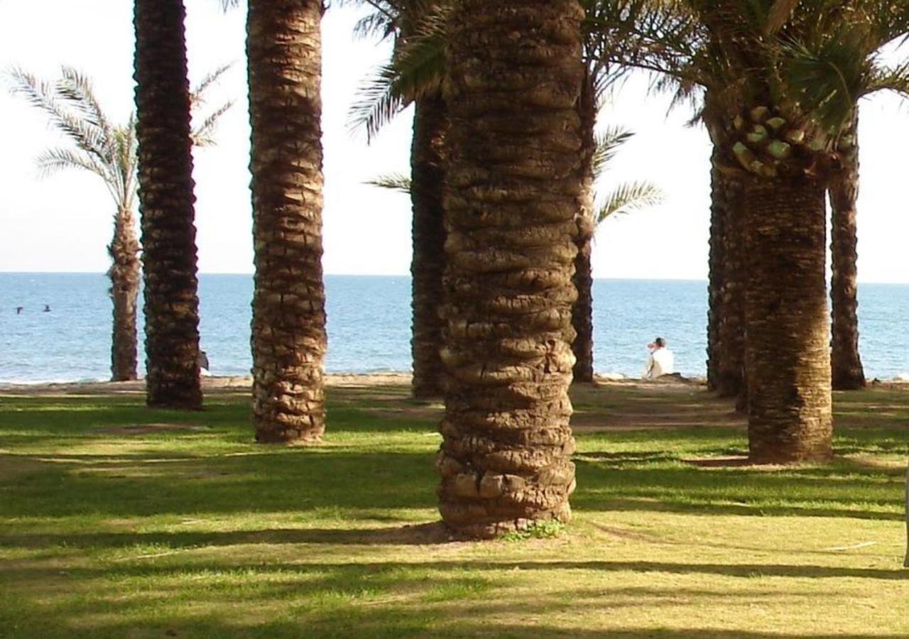 In Malaga Sun & * Torremolinos