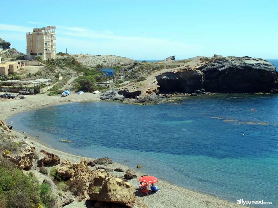 Apartamento Cala Flores *