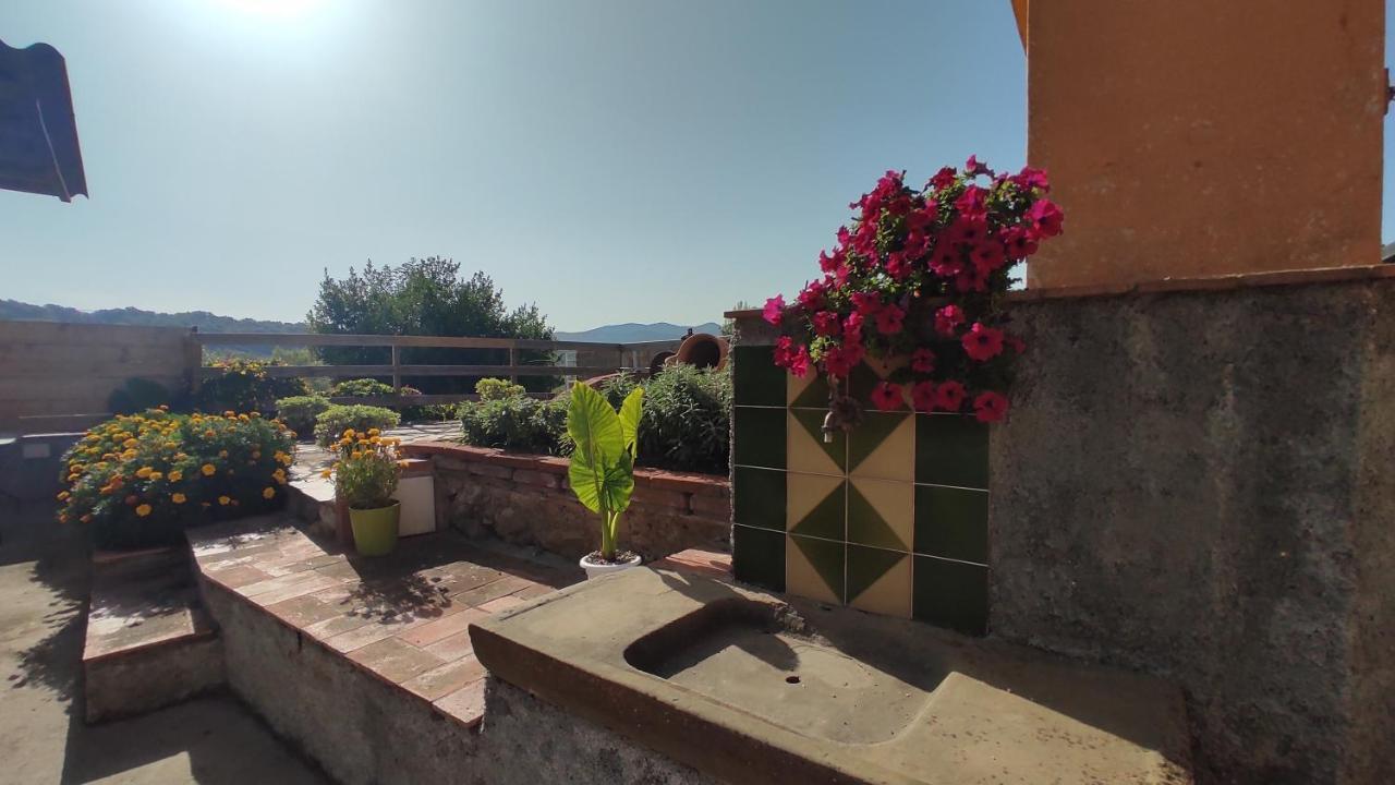Mas Guixot Relax Y Natura Holiday home *