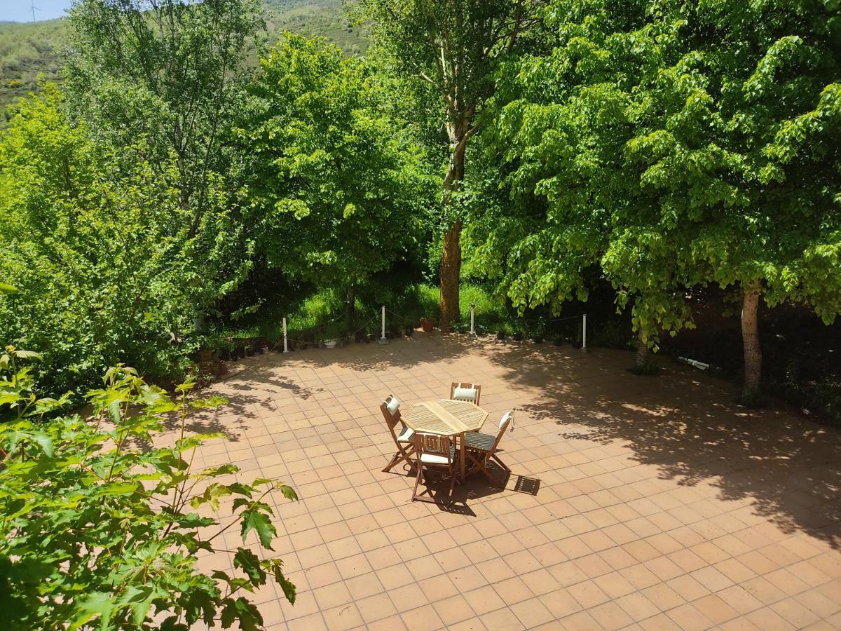 Centro Jardin Mandala