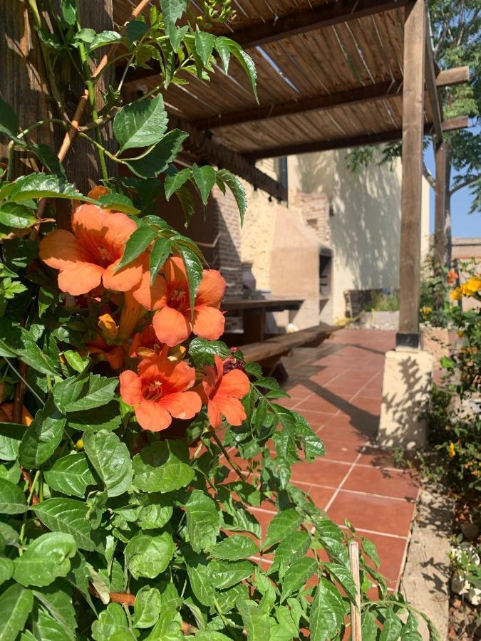 Gavias Holiday home