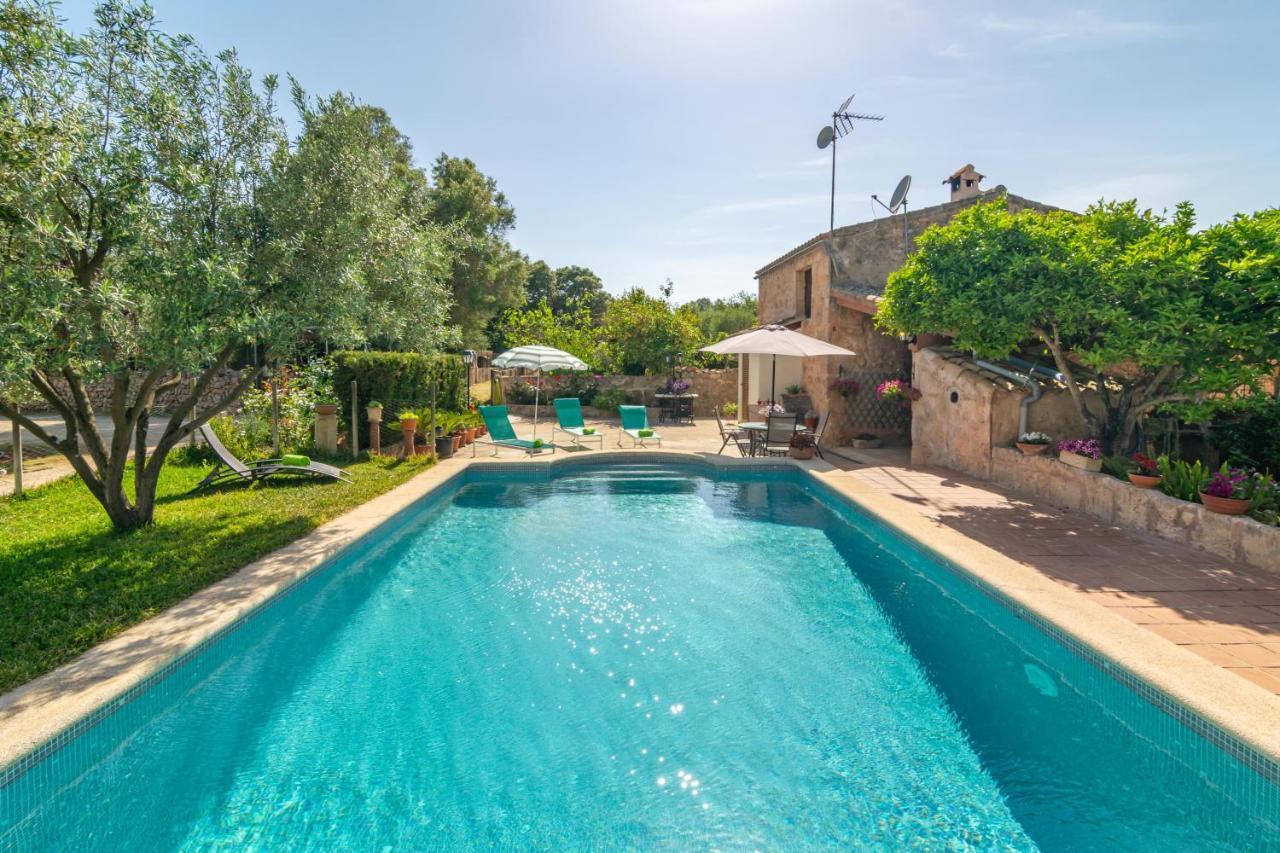 Villa Fiolet
