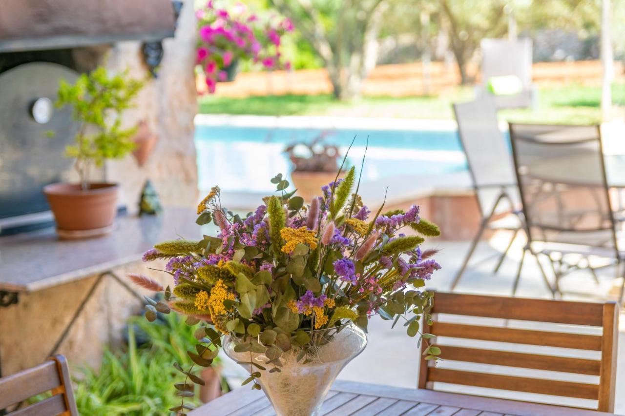 Fiolet Villa Algaida (Mallorca)