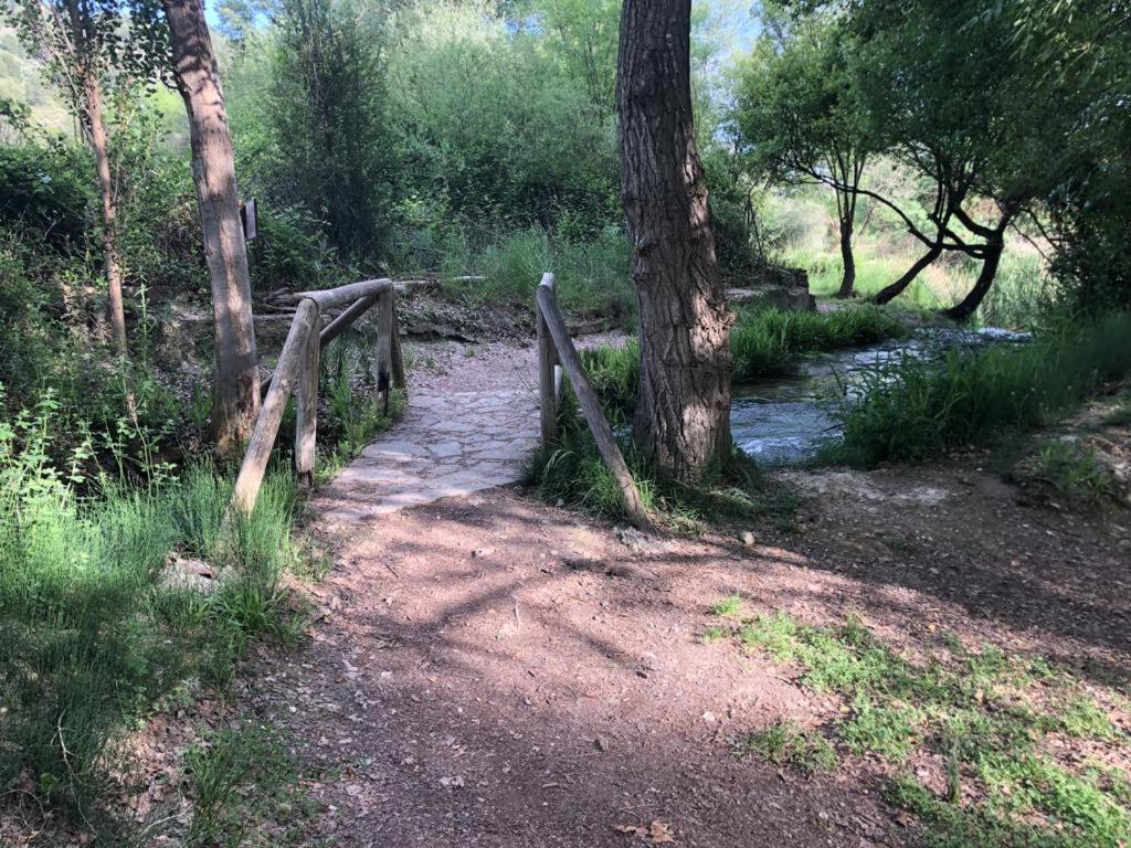 El Almendro De Fuentes Nuevas * Castril