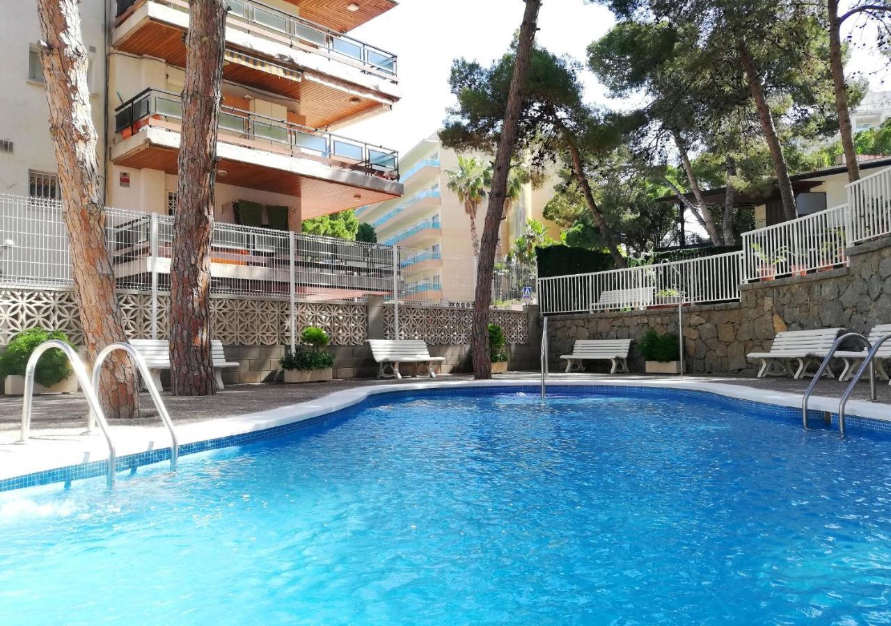 Paradis Palmyra Apartment