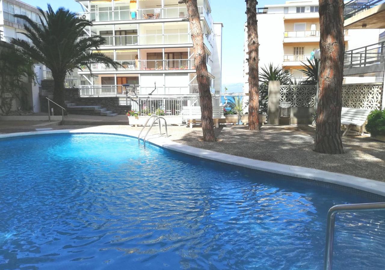 Paradis Palmyra