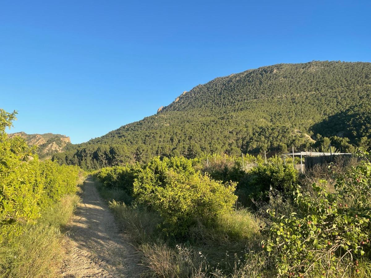 Casa Ramoncico. El Campillo