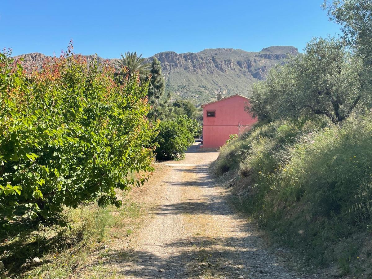 Casa Ramoncico. El Campillo Сasa de vacaciones Blanca