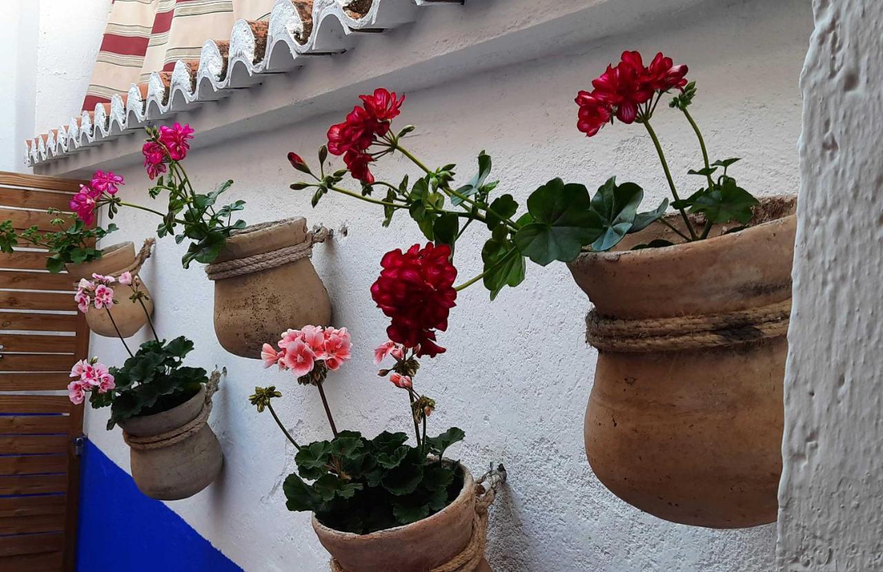 Apartamento La Encomienda De Ii Almagro