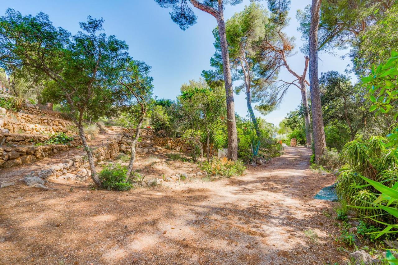 Ses Alzines - Costa De Pinos Apartment Costa De Los Pinos
