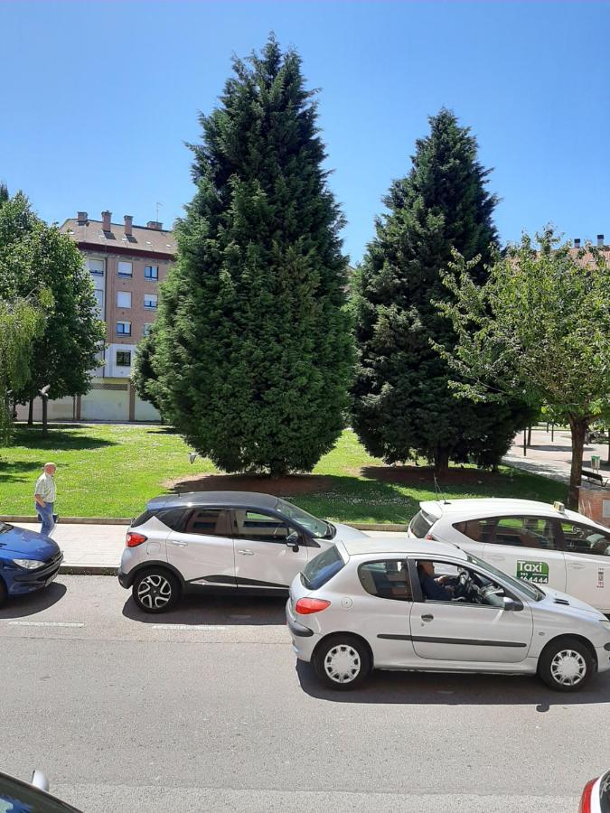 El ñeru. En Zona Verde Y Junto Al Mar. *