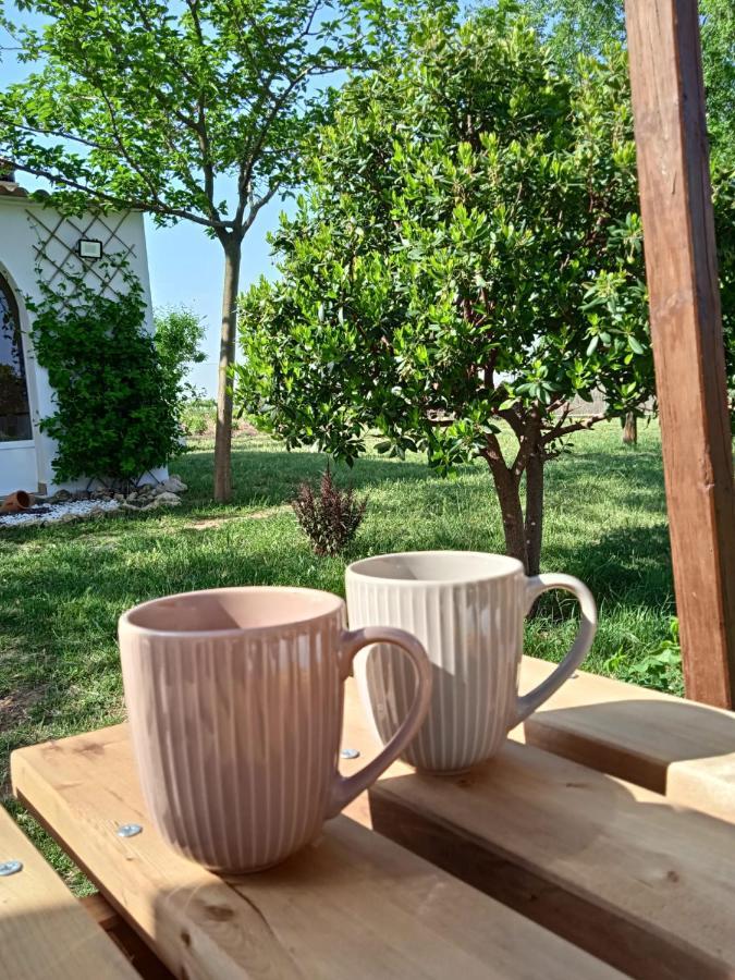 La Casita De Almendros Сasa de vacaciones Socuéllamos