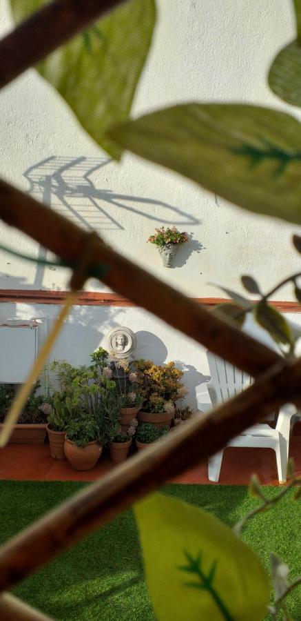 Apartamento Nundinae *