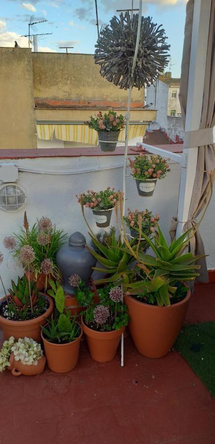 Nundinae Apartamento