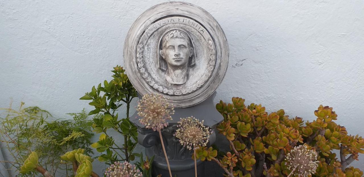 Nundinae * Mérida