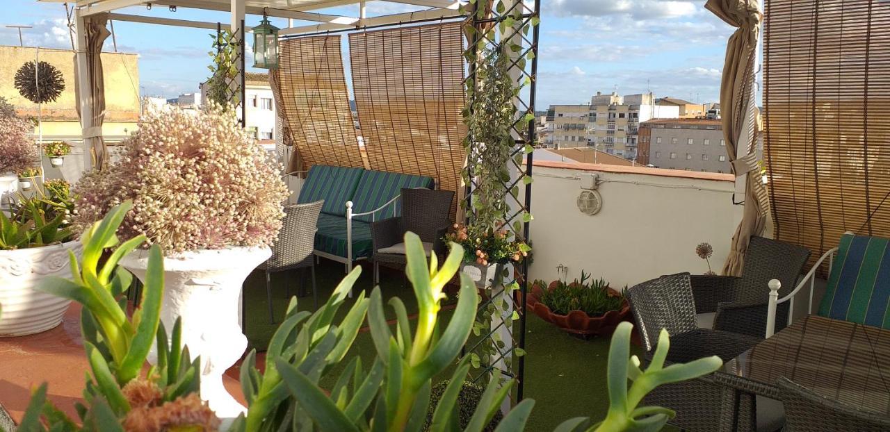 Apartamento Nundinae *