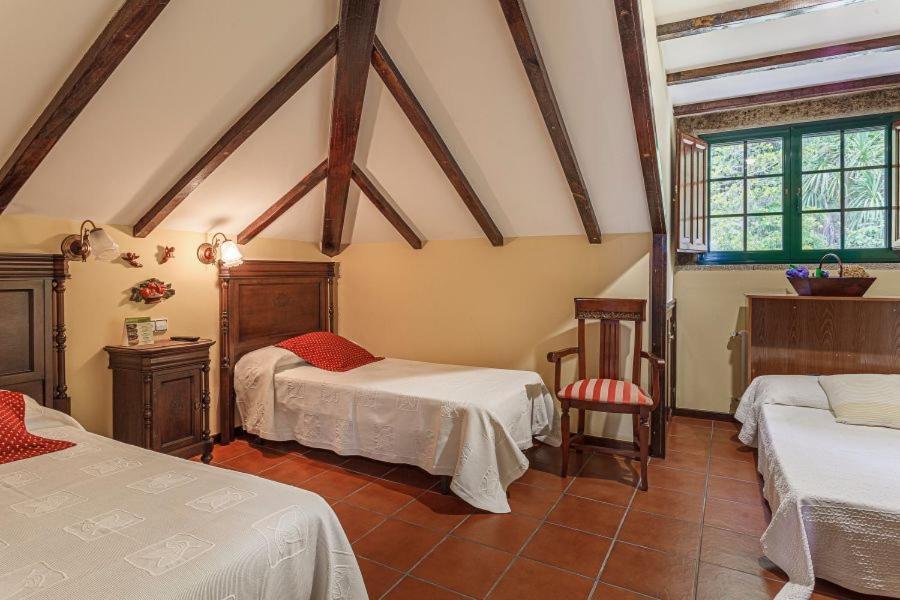 Casa Pazos-arbo *