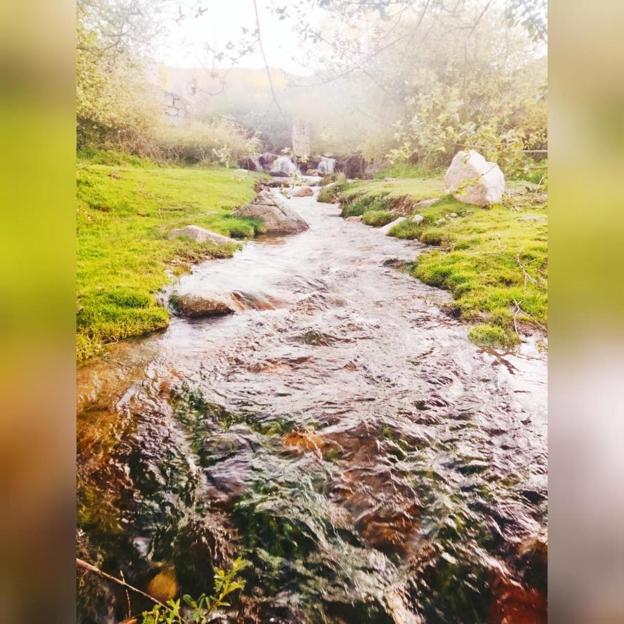 El Eden De Javier Casa rural Robledillo