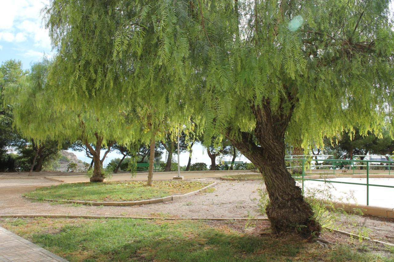 Sainvi 6-9a