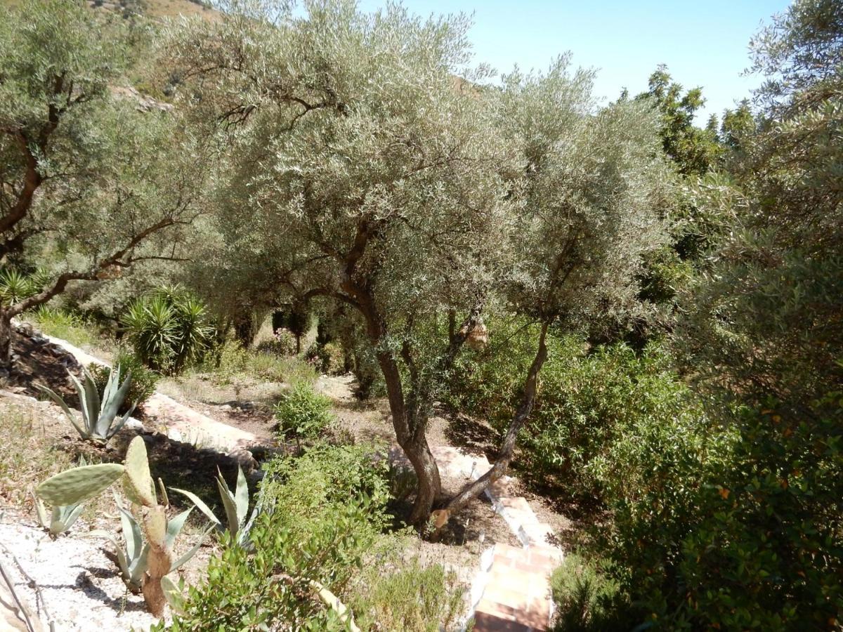 Lagabella Bed & Breakfast