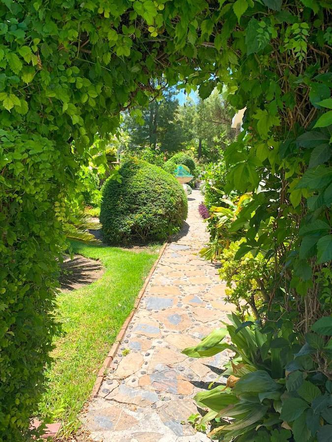Cortijo Andaluz Bed and breakfast