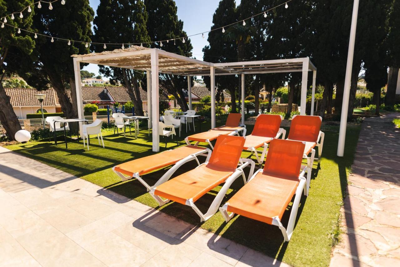 L'alfas Oasis