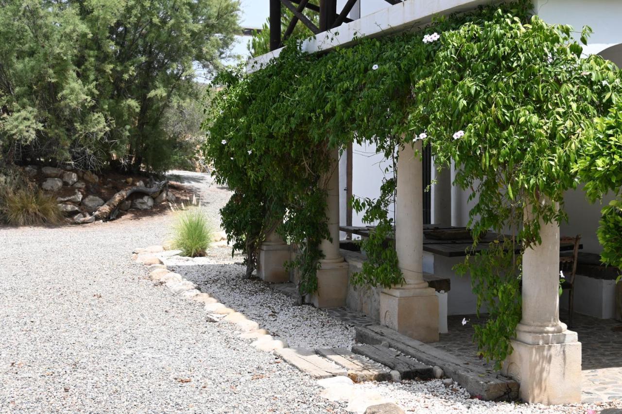 Dariana Padel & Pool Country house *