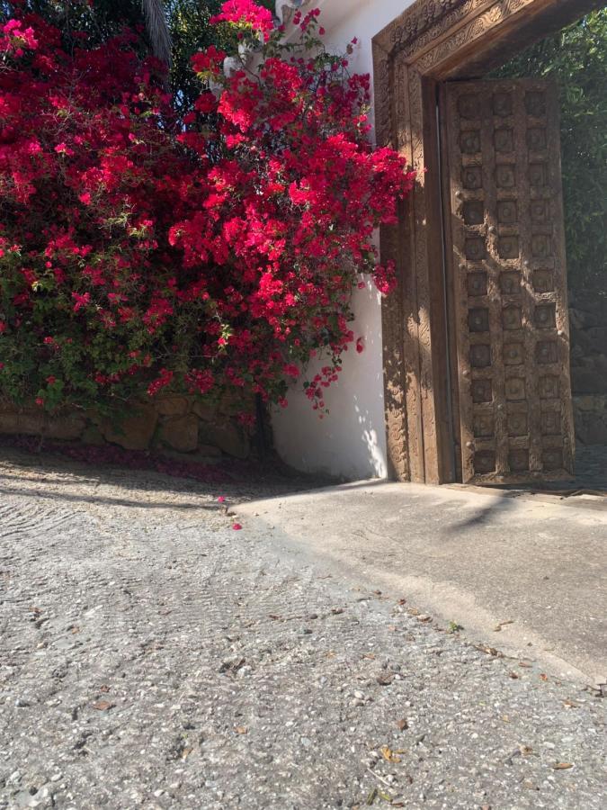 Country house Dariana Padel & Pool Alora