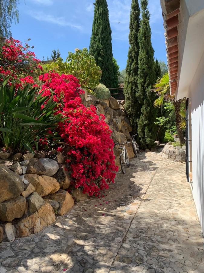 Dariana Padel & Pool Country house