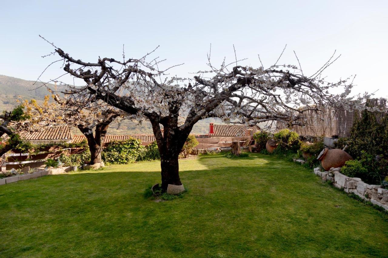 Holiday home La Higuera