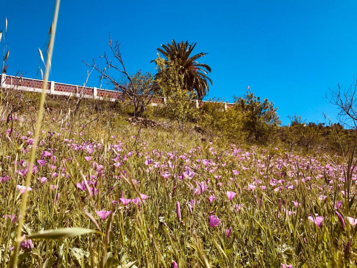 Casa Shanti La Palma *
