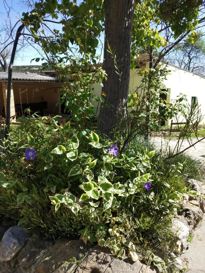 Camping Yaso-guara