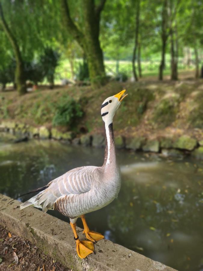 Agroturismo Anziola