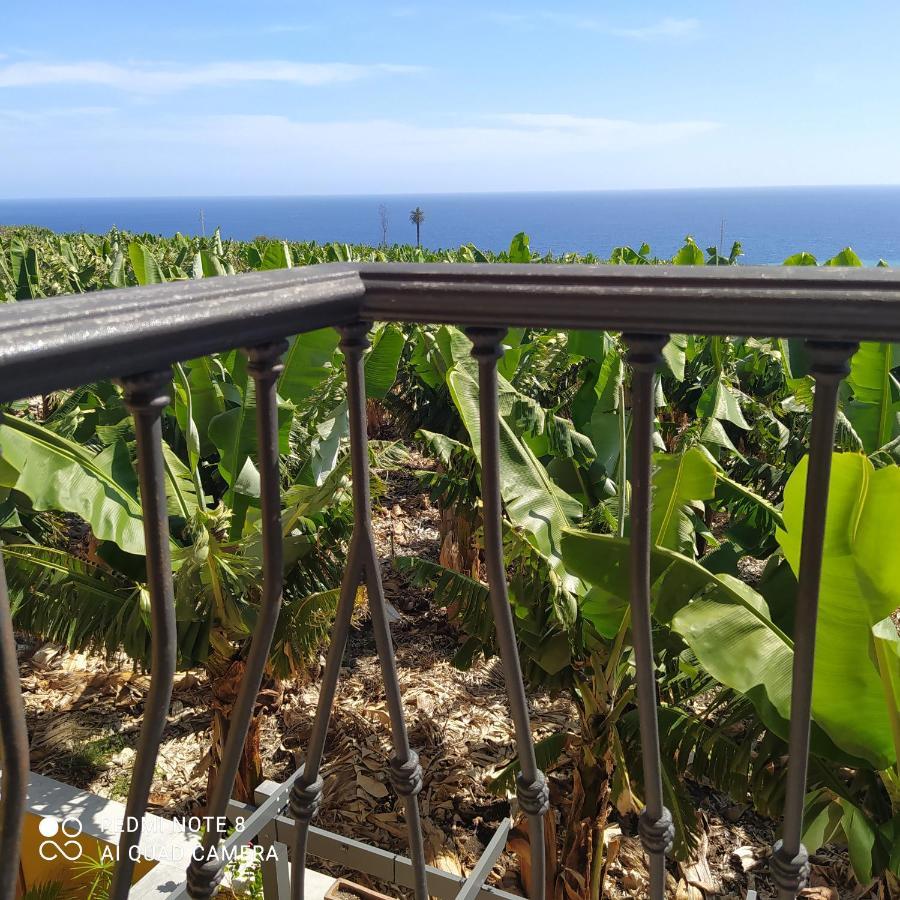 Trebol Trail Mountain La Palma Junto A Caracol Apartment Tazacorte