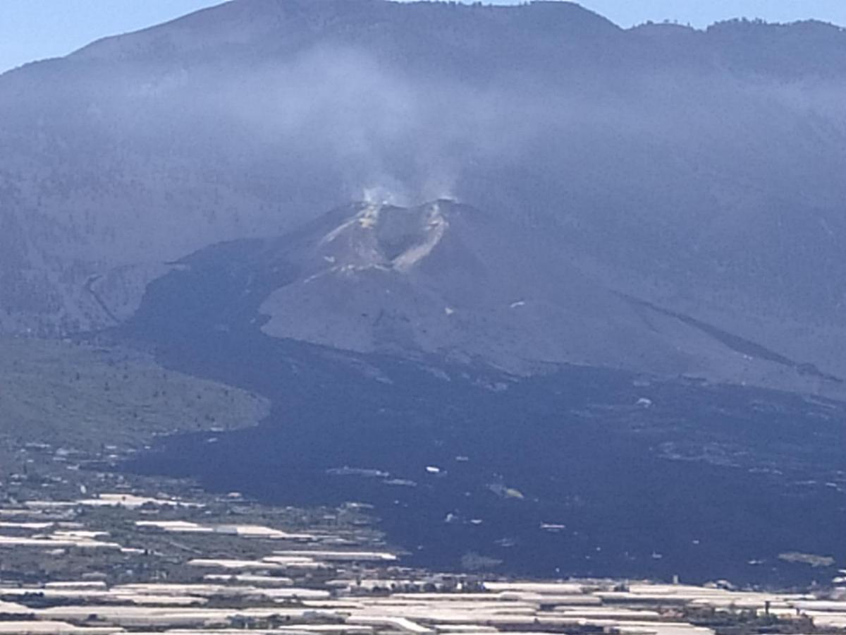 Trebol Trail Mountain La Palma Junto A Caracol