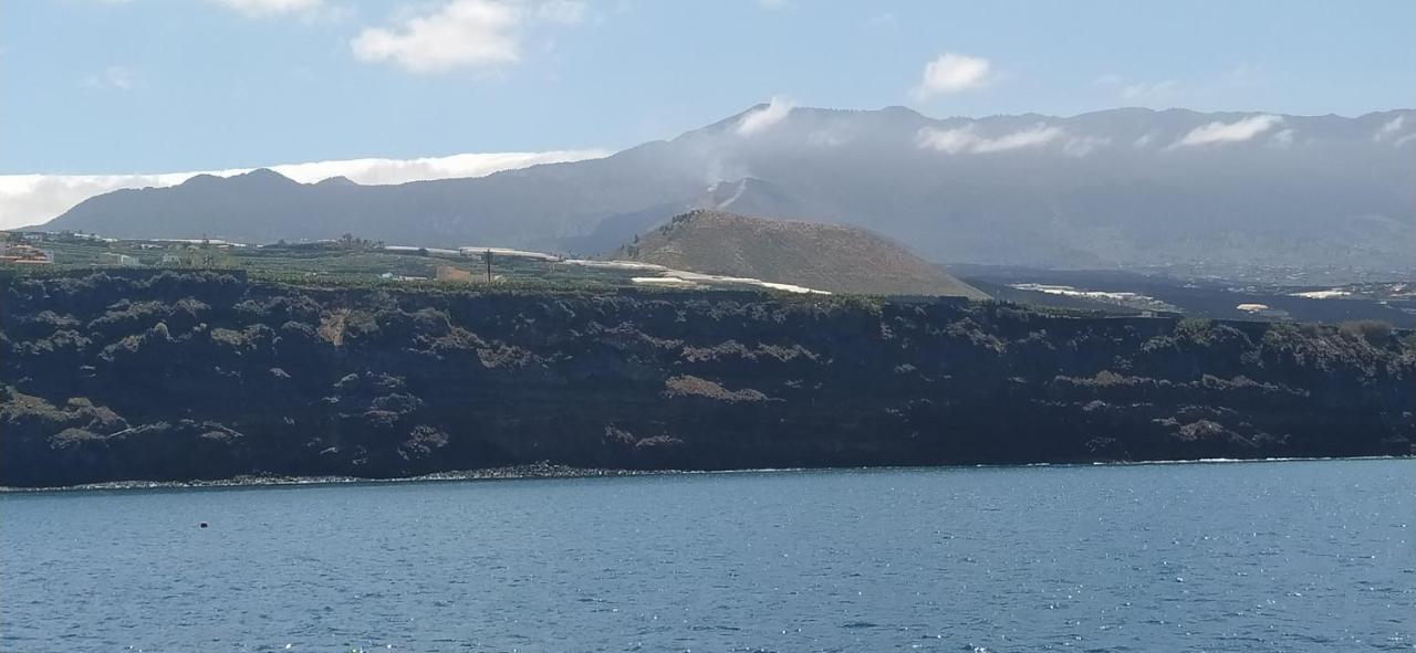 Trebol Trail Mountain La Palma Junto A Caracol Tazacorte