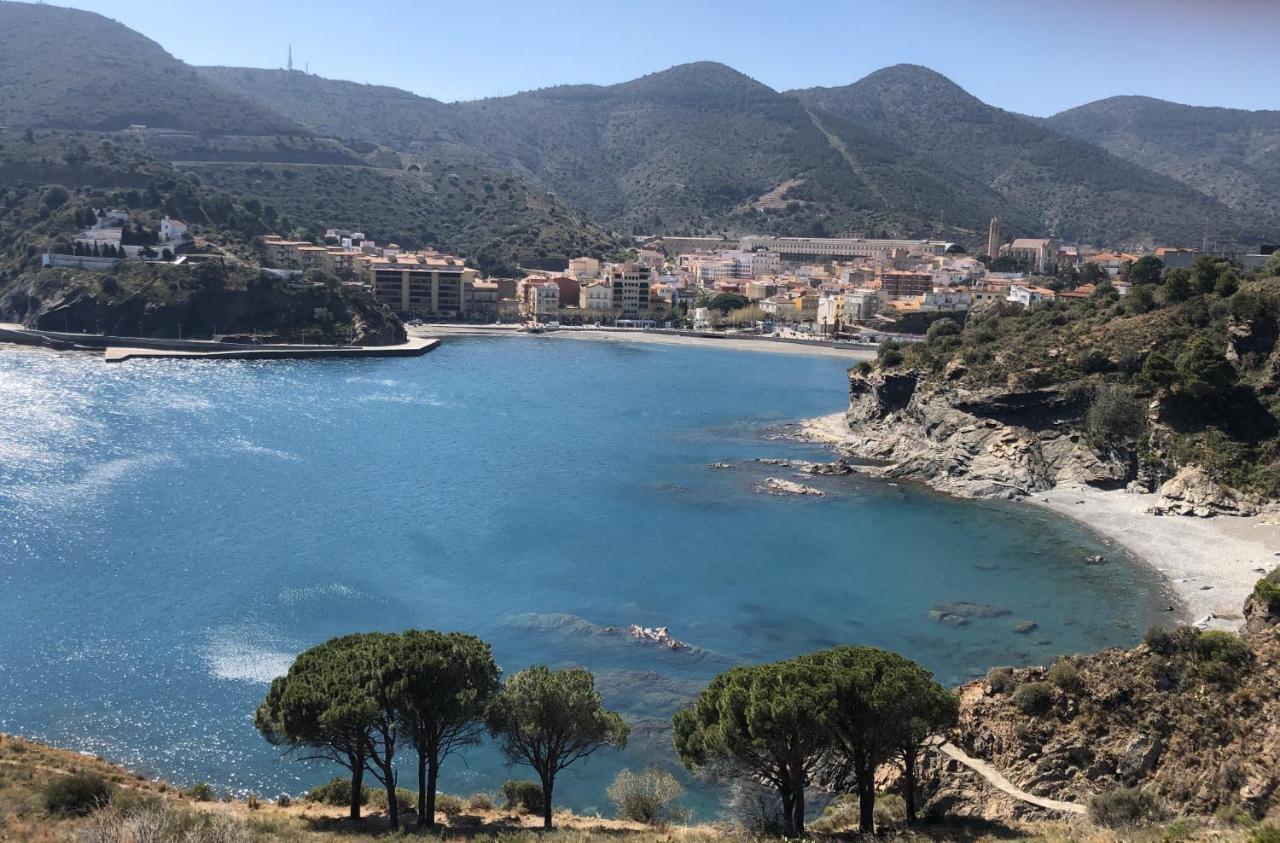 Apartment Piso En La Costa Brava Y Al Inicio Del Pirineo Portbou