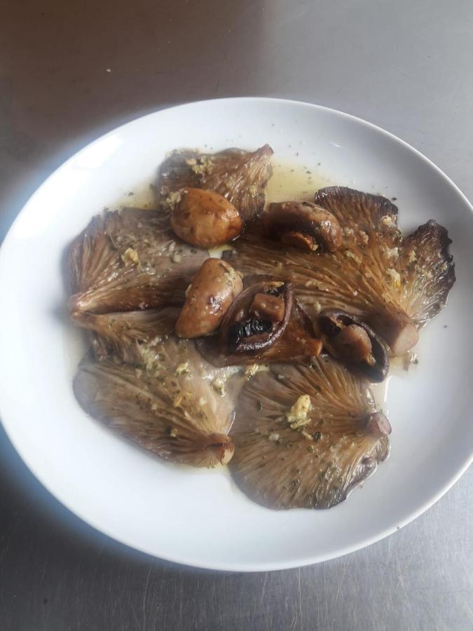 Restaurante La Cepa Pensión Cenicero