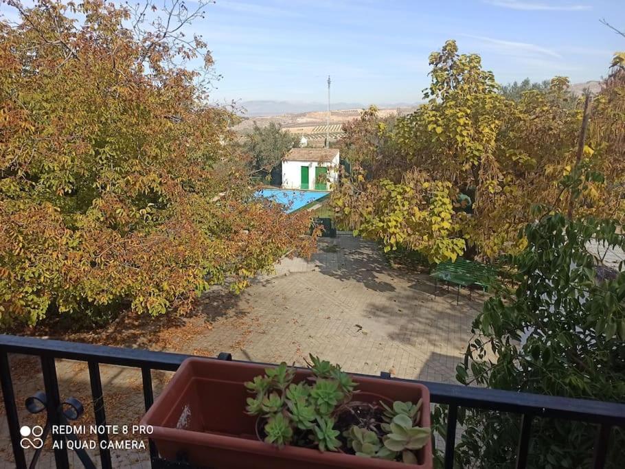 Casa Antelo Holiday home *