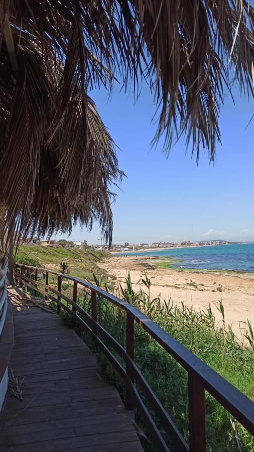 Apartamento Only 250m From The Locos Torrevieja