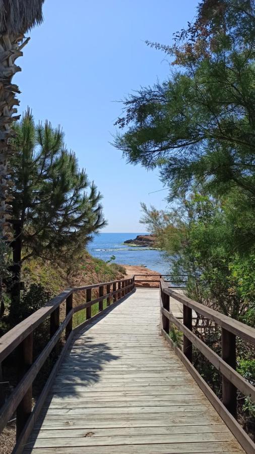 Only 250m From The Locos * Torrevieja