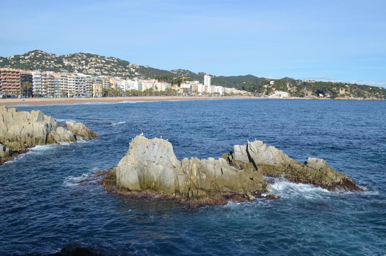 Rosa 10 Personas Montbarbat Costa Brava Massanet De La Selva