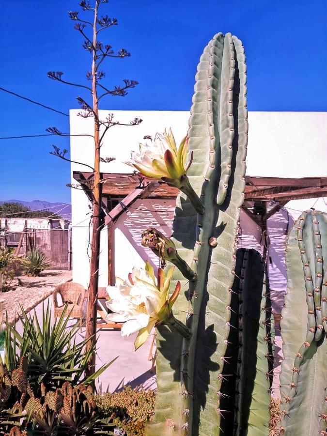 Cortijo La Ciclona Apartamento Fernan Perez