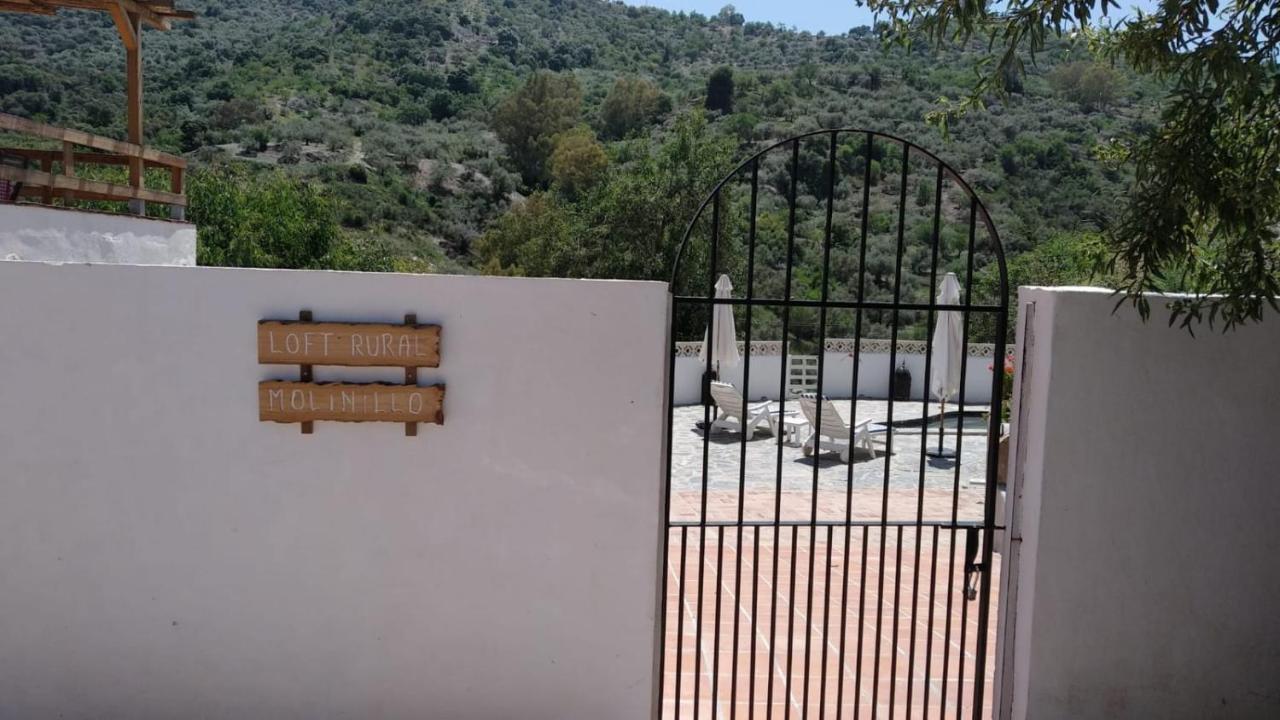 Loft Rural Molinillo *