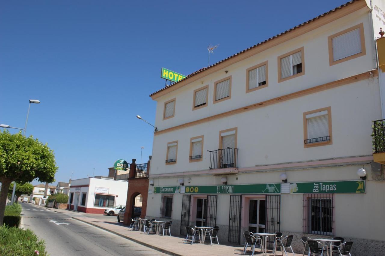 Hotel El Faisan C&r