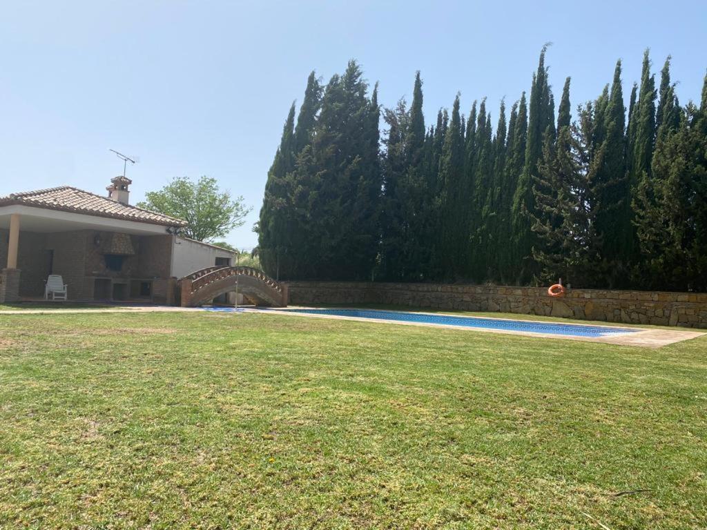 Viñas *
