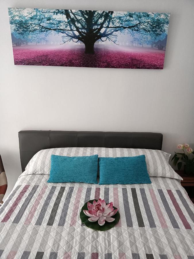 Apartment Estudio Emma