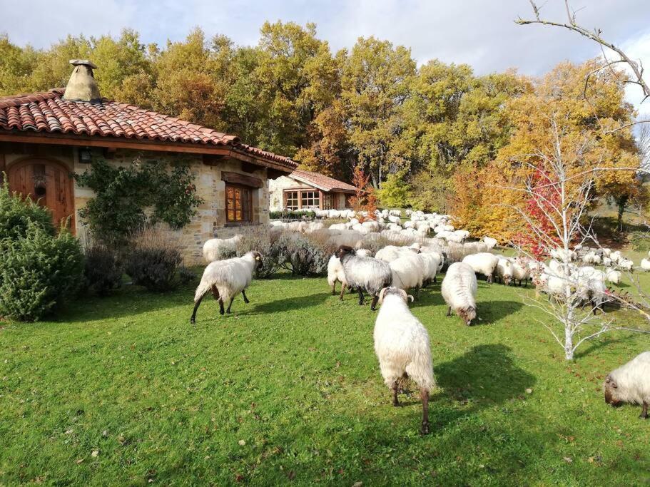 Holiday home Guikuri Octogono Casa Rural 1, 2 Y 3pax