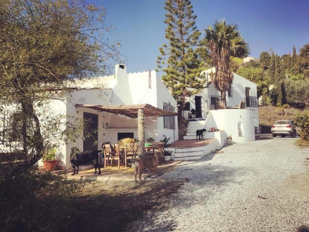 Stunning 3 Bed Finca With Attached 2 Bed Casita With Sea And Mountain Views Malaga