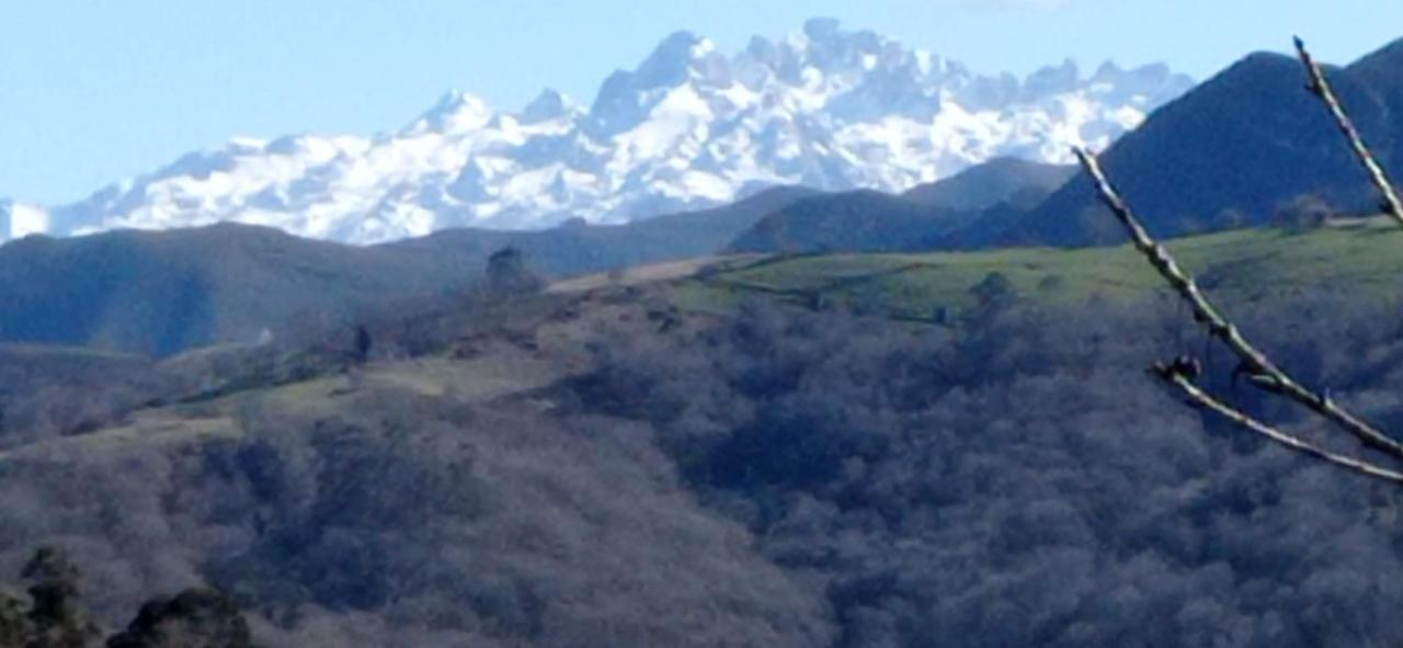 La Casina De Valles De San Valles (Pilona)